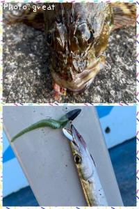 ���ޥ���������