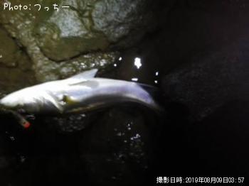 �����Х�