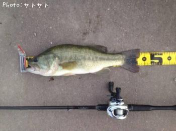 �֥�å��Х�