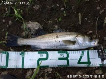 �����Х�