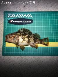 ¥¿¥±¥Î¥³¥á¥Ð¥ë