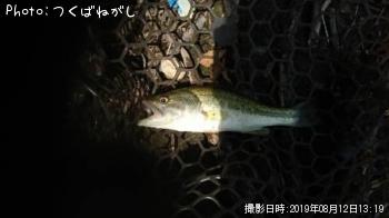 �֥�å��Х�