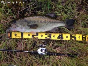 �֥�å��Х�