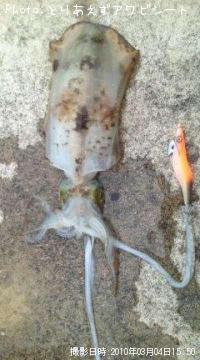 �����ꥤ��