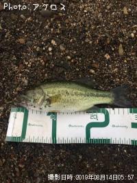 �顼���ޥ����Х�