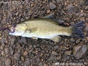 �顼���ޥ����Х�