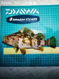 �����Υ���Х�