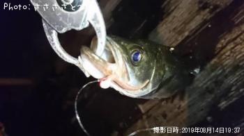 �����Х�