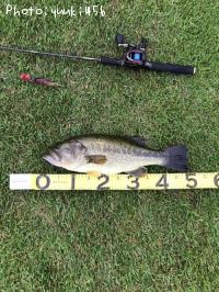 �֥�å��Х�