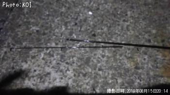 ¥Þ¥ë¥¿¥¦¥°¥¤