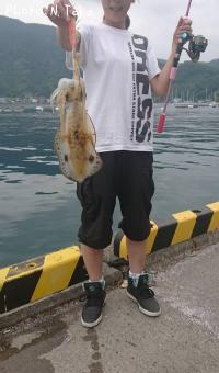 �����ꥤ��