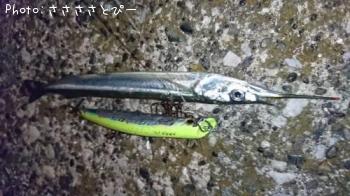 �����Х��������