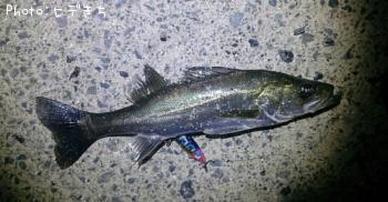 �����Х�