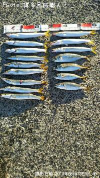 ���ޥ�������