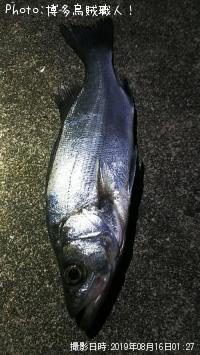 �ҥ饻����