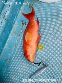 �ʥ����塼�ߡ��Х��ڥ������Х�ϥ���