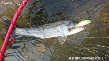 �����Х�