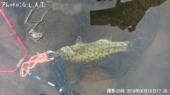 �֥�å��Х�