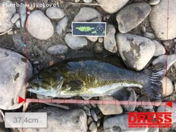 �֥�å��Х�