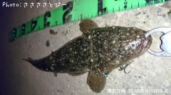 �ޥ������勵�ꥬ��