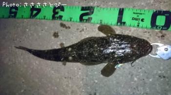 �ޥ������勵�ꥬ��