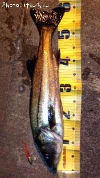 �����Х�