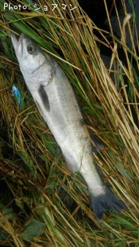 �����Х�