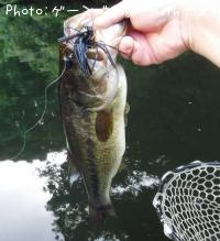 ¥Ö¥é¥Ã¥¯¥Ð¥¹