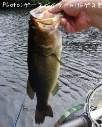 �֥�å��Х�