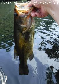 �֥�å��Х�