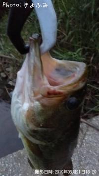 �֥�å��Х�