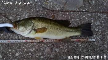 �֥�å��Х�