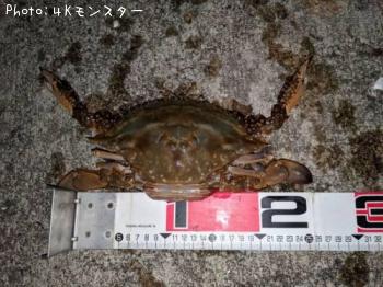 �勵�ꥬ��