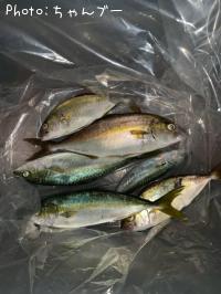 ���祴���參��������