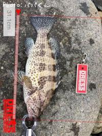 �������ϥ�