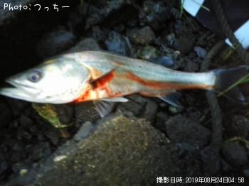 �����Х�