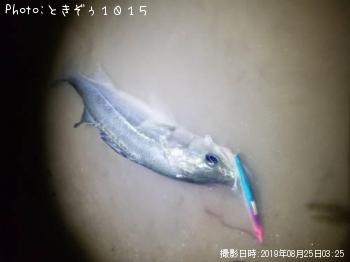 �����Х�