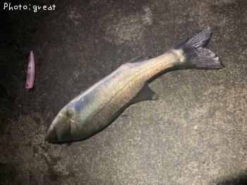 �����Х�