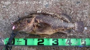 �����Υ���Х�