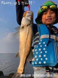 �����Х�