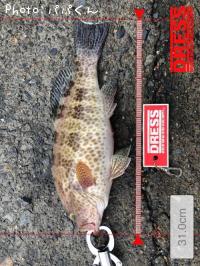 �������ϥ�