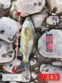 ¥Ö¥é¥Ã¥¯¥Ð¥¹