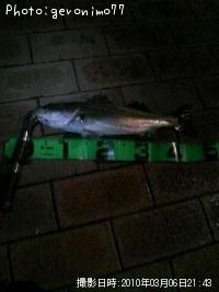 �����Х�