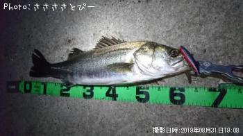 �����Х�