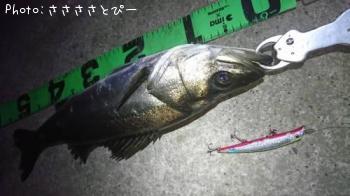 �����Х�