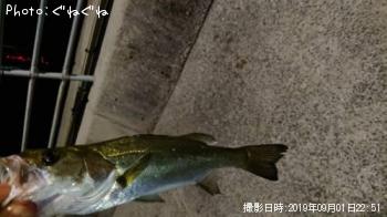 �����Х�