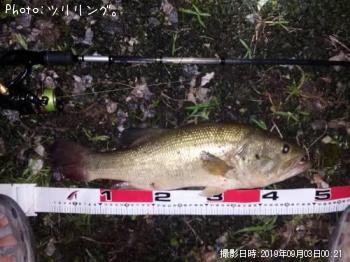 �֥�å��Х�