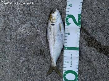 ���Υ���