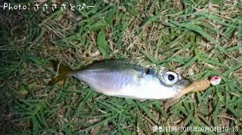 �����������Х�