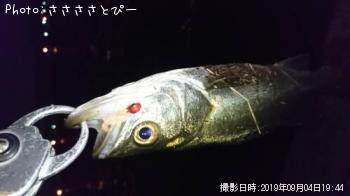 �����������Х�